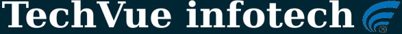 TechVue Infotech